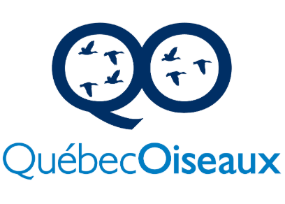QuébecOiseaux QuébecOiseaux